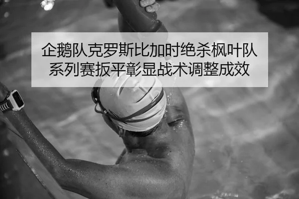 企鹅队克罗斯比加时绝杀枫叶队 系列赛扳平彰显战术调整成效